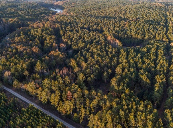 Barr Chapel Road, Edgefield, SC 29824
