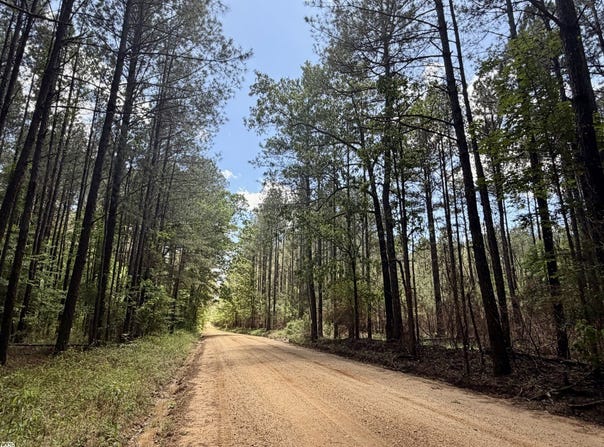 Sun Road Tract, Lake, MS 39092