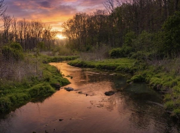 MOSSY CREEK RD lot: 1, BRIDGEWATER, VA 22812