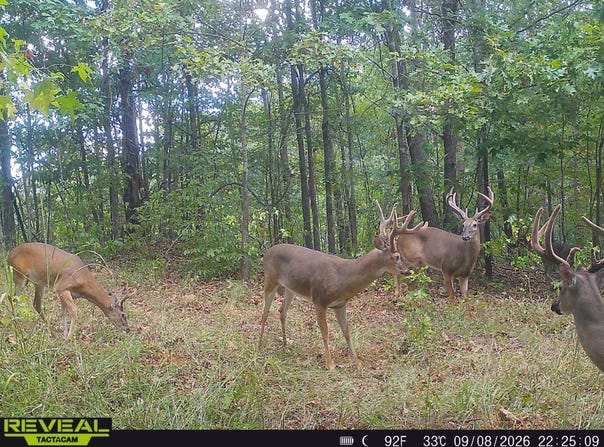 Halls Road, Grenada, MS 38901