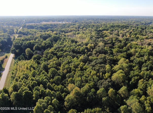 17 Star Landing Road, Nesbit, MS 38651