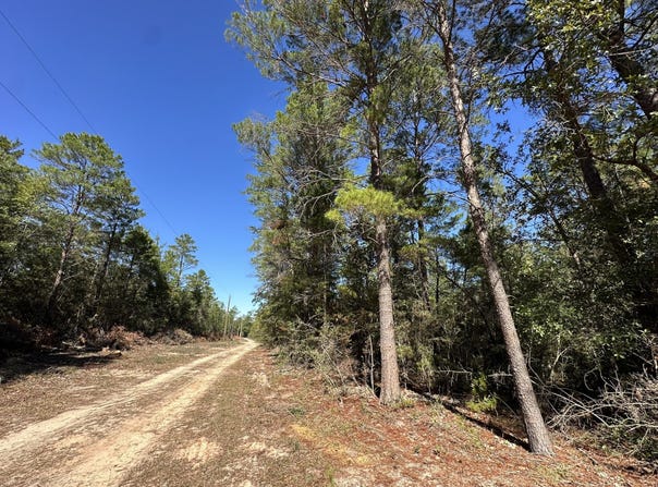 Parcel A Bear Head Road, Crestview, FL 32539