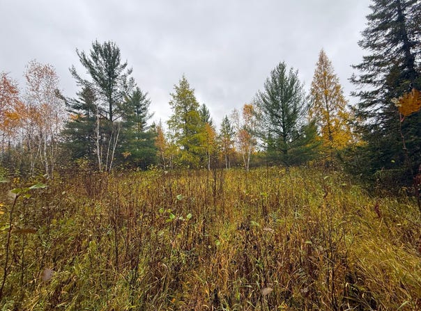 75XX Metske Road, Eveleth, MN 55734