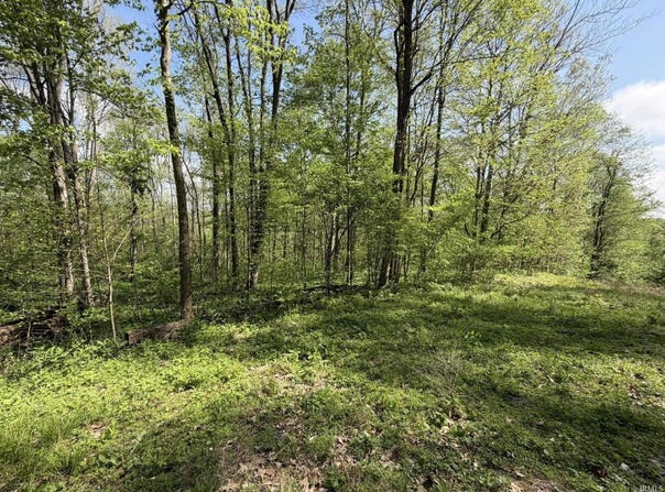 Coon Path Road, Spencer, IN 47460