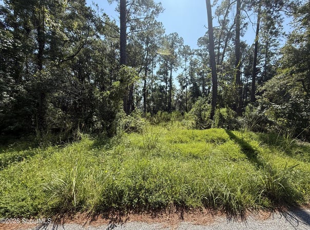 129 Sutherland Drive, Brunswick, GA 31525