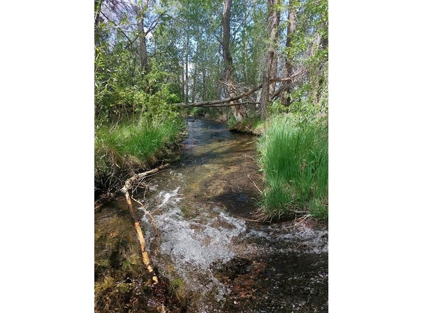 63001 CC County Road, CO 81143