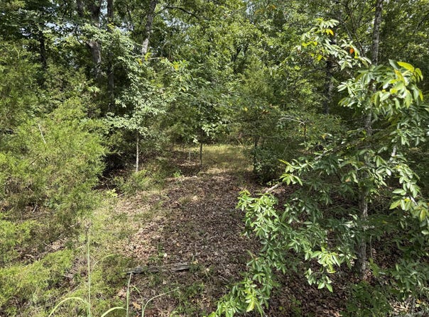 55 Cattail Court, Branson West, MO 65737