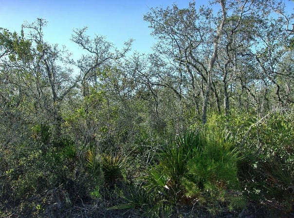 10566 INTERLACHER Drive, SEBRING, FL 33875