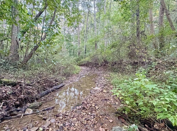 2583 Tong Hollow Rd, Bainbridge, OH 45612