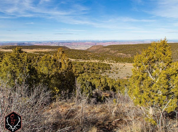 13913 Hwy 141, Egnar, CO 81324