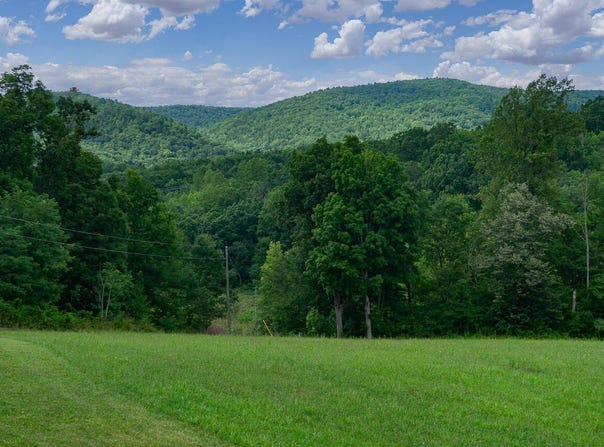 BLUE GRASS Trl, Lexington, VA 24450