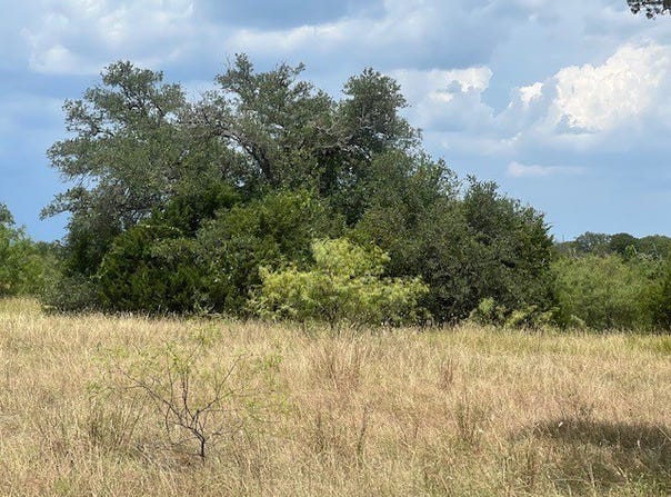 28005 White Bluff Drive, Whitney, TX 76692
