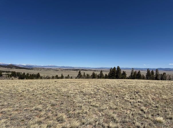 197 Baler Ct, Hartsel, CO 80449