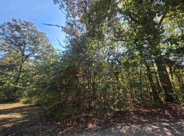 L1 B5 Timberlane Drive, Highland, AR 72542