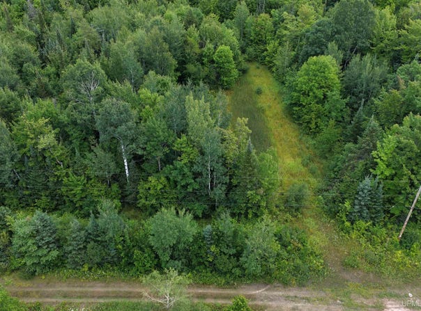 26784 OLD M-64 Highway, White Pine, MI 49971
