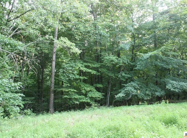 141 Cherokee Drive, Lucas, KY 42156