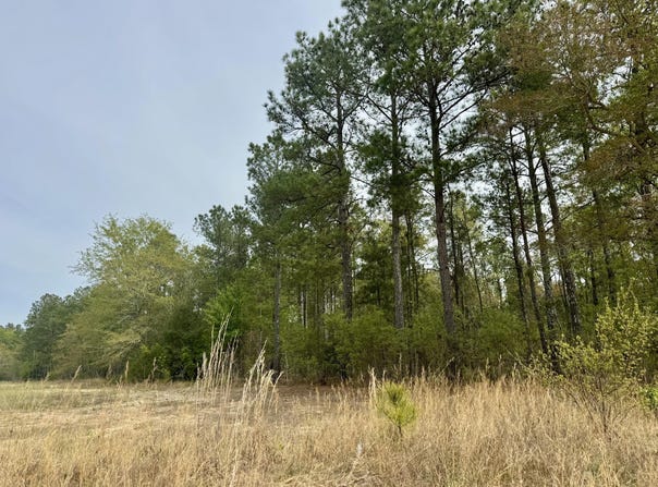 Goose Platter Road, Monetta, SC 29105