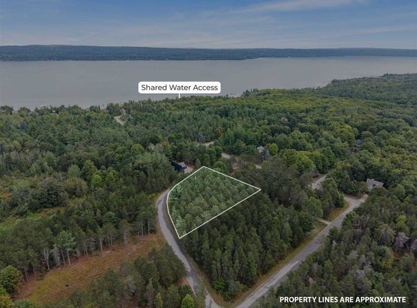 BRIDGE DR, EAST JORDAN, MI 49727