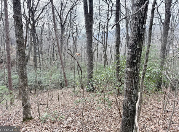 Monarch Lane, Clayton, GA 30525