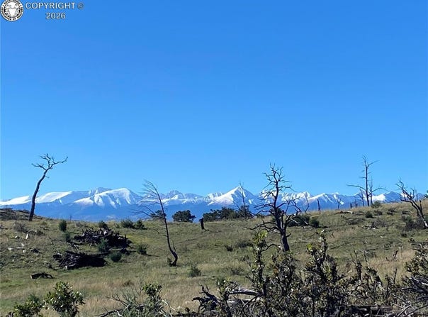1263 23rd Trail, Cotopaxi, CO 81223