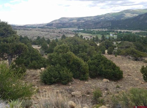 Little Bear Circle lot 54, South Fork, CO 81154