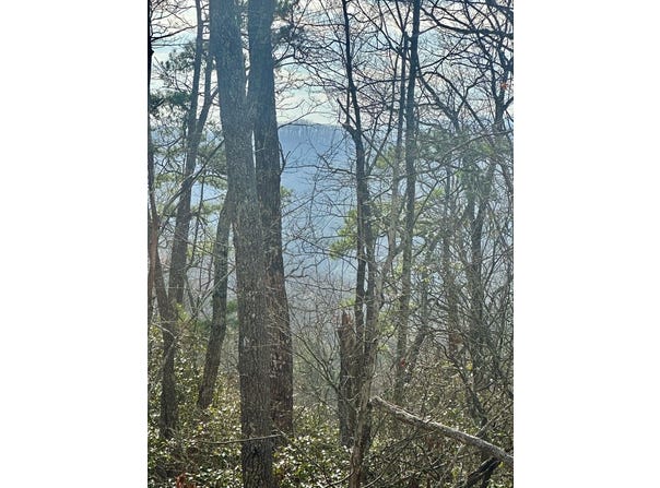 Sapphire Ridge lot: 8, Blue Ridge, GA 30513