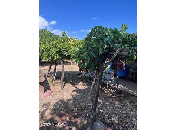6044 W High Desert Road, Willcox, AZ 85643