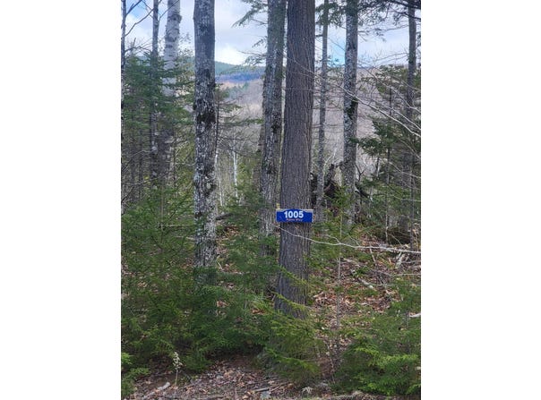 1005 Apres Way, Carrabassett Valley, ME 04947
