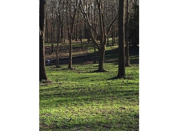 2484 W Landers Road, Nixa, MO 65714