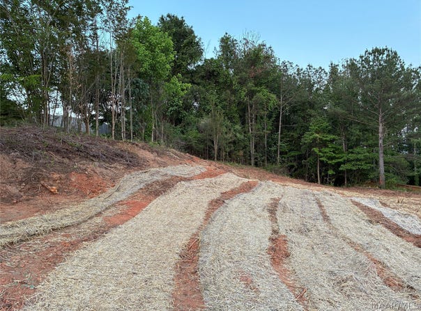 161 Forest Mountain Drive, Wetumpka, AL 36093
