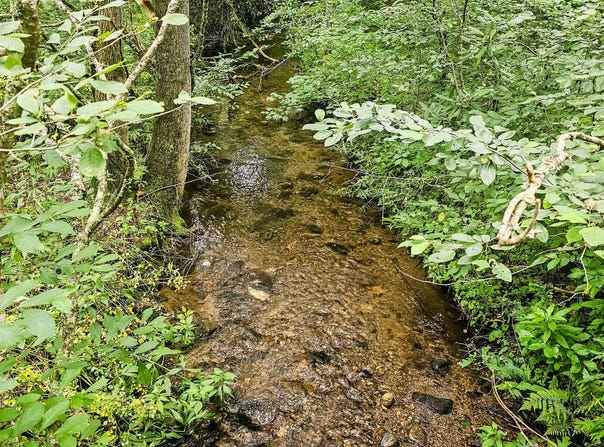 River Run N, Clayton, GA 30525