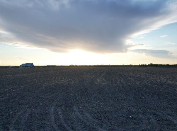 TBD-6 1 Mile East Rd, Mercedes, TX 78570