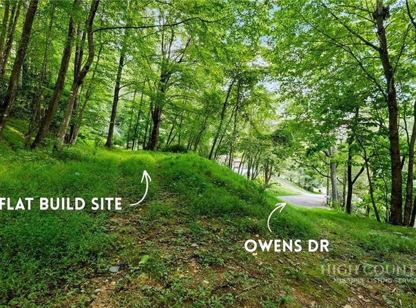 Owens Drive, Boone, NC 28607