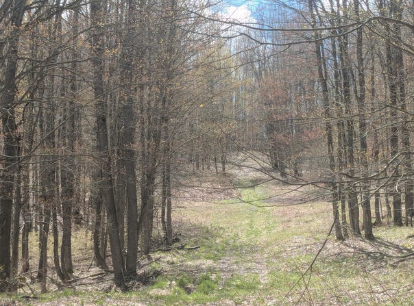 20179 N Coates Highway, Brethren, MI 49619
