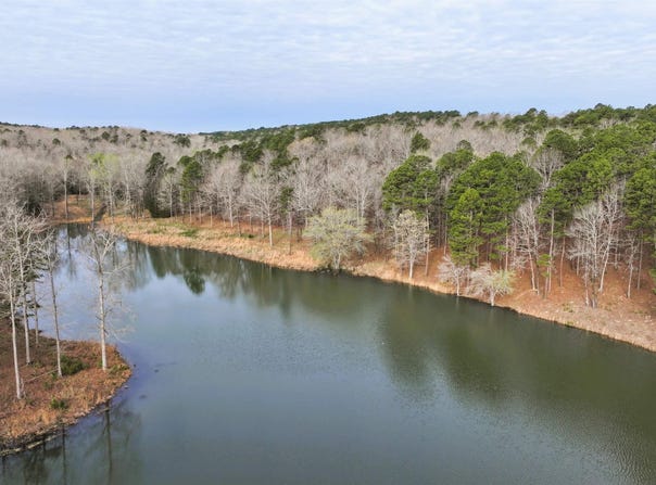 Ross Hollow Road, Bigelow, AR 72016