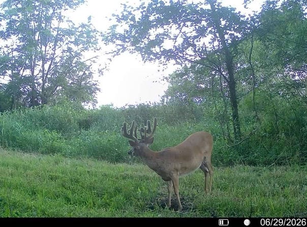 Hwy 159, Forest City, MO 64451