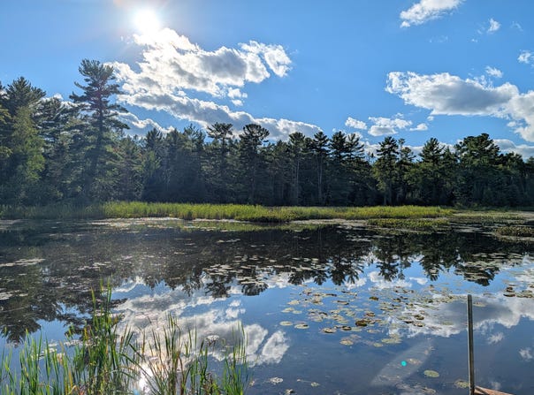 1325 Eaglewatch Ct, Saint Germain, WI 54558
