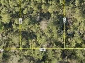 PLUMOSUS Terrace, DELAND, FL 32724