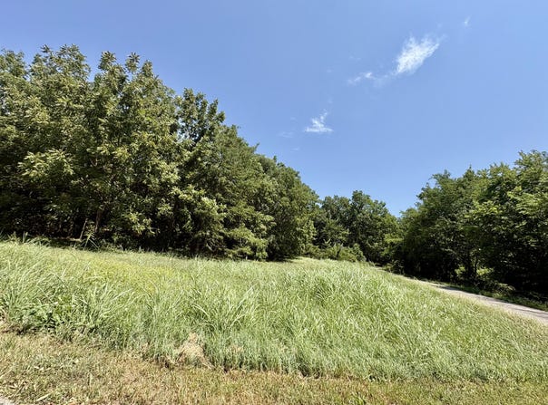 665 Meng Street, Greenfield, MO 65661