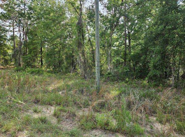 Tbd NE 153RD AVENUE, WILLISTON, FL 32696