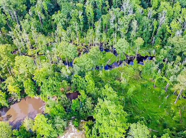 0-C Mount Carmel Road, Walterboro, SC 29488