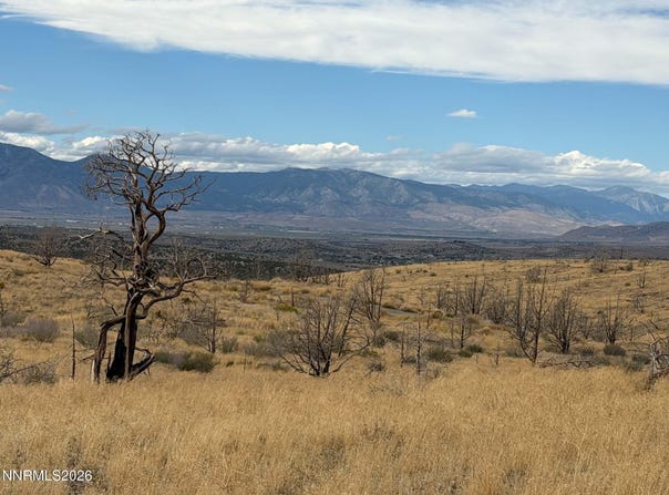 Pine Nut #2, Gardnerville, NV 89410