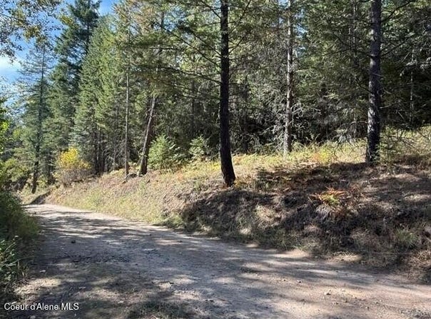 Gold Cup Mountain Rd, Priest River, ID 83856