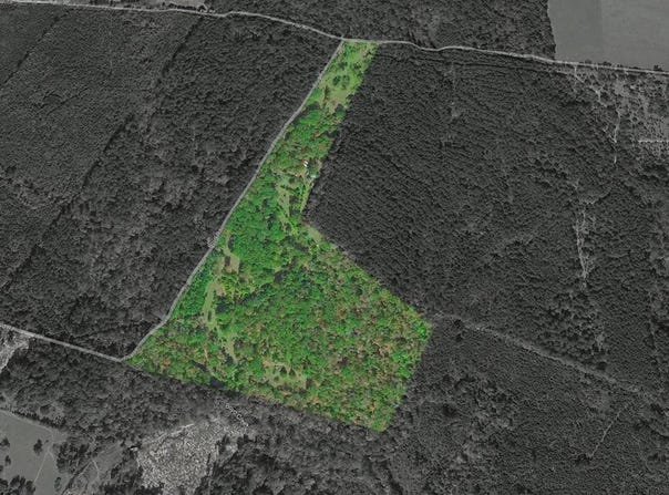 1039 Flat Road, Milam, TX 75959