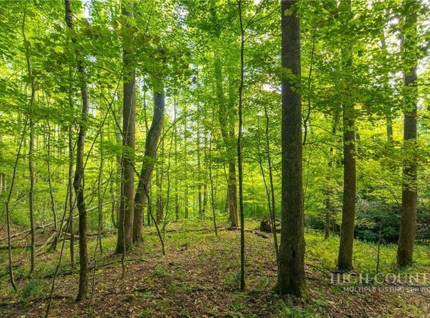 Wasatch Drive, Boone, NC 28607
