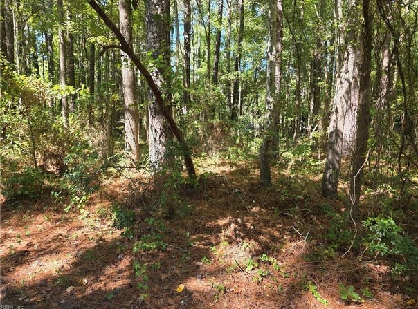 Mobjack Lane, Hayes, VA 23072