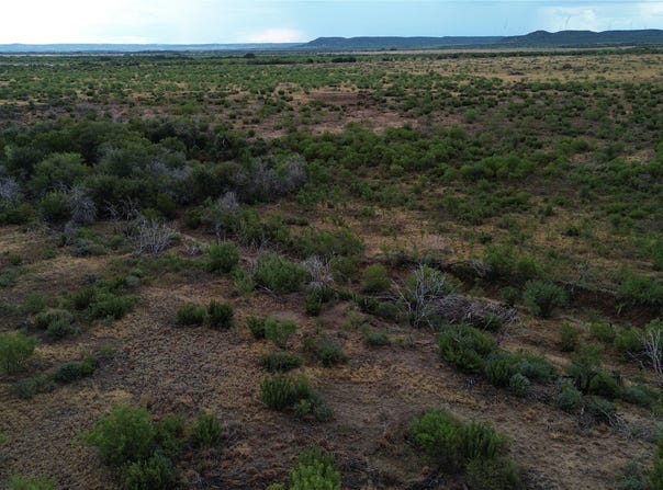TBD-Division 6 County Road 343, Merkel, TX 79536