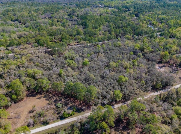 7262 SONIA Avenue, WEBSTER, FL 33597