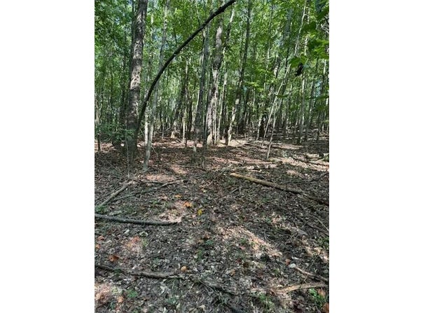 BALL PARK Rd, Phil Campbell, AL 35581