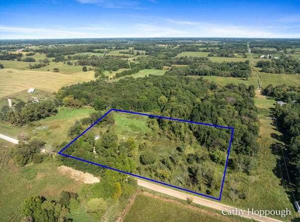 1218 N Marble Road, Belding, MI 48809